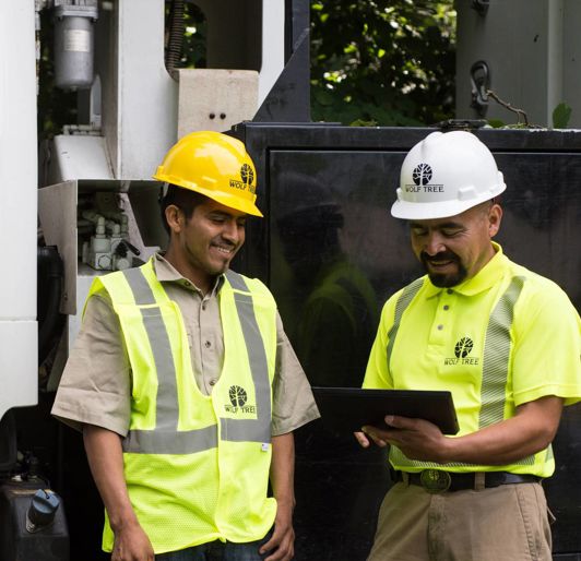 Utility Line Maintenance Services | Cost Effective, Safe and Trained